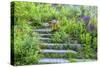 USA, Wayne, Pennsylvania. Summer Flowers in Chanticleer Garden-Jay O'brien-Stretched Canvas