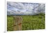 USA, West Virginia. A high mountain meadow in the Canaan Valley.-Christopher Reed-Framed Photographic Print