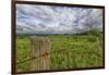 USA, West Virginia. A high mountain meadow in the Canaan Valley.-Christopher Reed-Framed Photographic Print