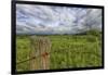 USA, West Virginia. A high mountain meadow in the Canaan Valley.-Christopher Reed-Framed Photographic Print