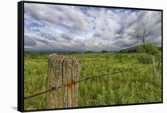 USA, West Virginia. A high mountain meadow in the Canaan Valley.-Christopher Reed-Framed Stretched Canvas