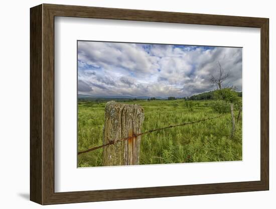 USA, West Virginia. A high mountain meadow in the Canaan Valley.-Christopher Reed-Framed Photographic Print