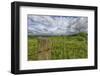 USA, West Virginia. A high mountain meadow in the Canaan Valley.-Christopher Reed-Framed Photographic Print