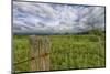 USA, West Virginia. A high mountain meadow in the Canaan Valley.-Christopher Reed-Mounted Photographic Print