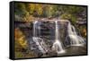 USA, West Virginia, Blackwater Falls State Park. Waterfall and forest scenic.-Jaynes Gallery-Framed Stretched Canvas