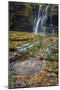 USA, West Virginia, Blackwater Falls State Park. Waterfall and whirlpool scenic.-Jaynes Gallery-Mounted Photographic Print