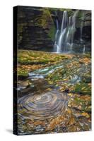 USA, West Virginia, Blackwater Falls State Park. Waterfall and whirlpool scenic.-Jaynes Gallery-Stretched Canvas