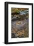 USA, West Virginia, Blackwater Falls State Park. Whirlpool in stream.-Jaynes Gallery-Framed Photographic Print