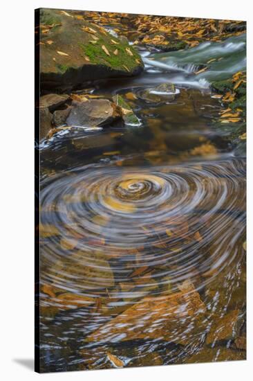 USA, West Virginia, Blackwater Falls State Park. Whirlpool in stream.-Jaynes Gallery-Stretched Canvas