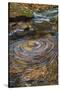 USA, West Virginia, Blackwater Falls State Park. Whirlpool in stream.-Jaynes Gallery-Stretched Canvas
