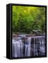 USA, West Virginia, Davis, Blackwater Falls. Scenic of the falls.-Jay O'brien-Framed Stretched Canvas