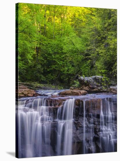 USA, West Virginia, Davis, Blackwater Falls. Scenic of the falls.-Jay O'brien-Stretched Canvas