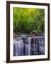 USA, West Virginia, Davis, Blackwater Falls. Scenic of the falls.-Jay O'brien-Framed Premium Photographic Print