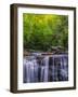 USA, West Virginia, Davis, Blackwater Falls. Scenic of the falls.-Jay O'brien-Framed Photographic Print