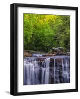 USA, West Virginia, Davis, Blackwater Falls. Scenic of the falls.-Jay O'brien-Framed Photographic Print