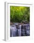 USA, West Virginia, Davis, Blackwater Falls. Scenic of the falls.-Jay O'brien-Framed Photographic Print