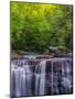 USA, West Virginia, Davis, Blackwater Falls. Scenic of the falls.-Jay O'brien-Mounted Photographic Print