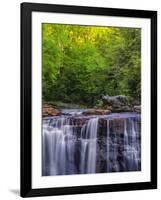 USA, West Virginia, Davis, Blackwater Falls. Scenic of the falls.-Jay O'brien-Framed Photographic Print