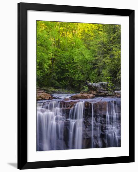 USA, West Virginia, Davis, Blackwater Falls. Scenic of the falls.-Jay O'brien-Framed Photographic Print