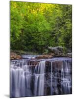 USA, West Virginia, Davis, Blackwater Falls. Scenic of the falls.-Jay O'brien-Mounted Photographic Print