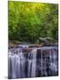 USA, West Virginia, Davis, Blackwater Falls. Scenic of the falls.-Jay O'brien-Mounted Photographic Print