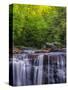 USA, West Virginia, Davis, Blackwater Falls. Scenic of the falls.-Jay O'brien-Stretched Canvas