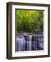 USA, West Virginia, Davis, Blackwater Falls. Scenic of the falls.-Jay O'brien-Framed Photographic Print