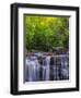 USA, West Virginia, Davis, Blackwater Falls. Scenic of the falls.-Jay O'brien-Framed Photographic Print