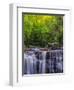 USA, West Virginia, Davis, Blackwater Falls. Scenic of the falls.-Jay O'brien-Framed Photographic Print