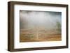 USA, West Virginia, Davis. Foggy forest in fall colors.-Jaynes Gallery-Framed Photographic Print