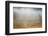 USA, West Virginia, Davis. Foggy forest in fall colors.-Jaynes Gallery-Framed Photographic Print