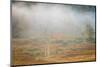 USA, West Virginia, Davis. Foggy forest in fall colors.-Jaynes Gallery-Mounted Photographic Print