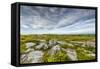 USA, West Virginia, Davis. Landscape in Dolly Sods Wilderness Area.-Jay O'brien-Framed Stretched Canvas