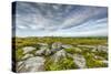 USA, West Virginia, Davis. Landscape in Dolly Sods Wilderness Area.-Jay O'brien-Stretched Canvas