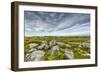 USA, West Virginia, Davis. Landscape in Dolly Sods Wilderness Area.-Jay O'brien-Framed Photographic Print