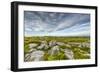 USA, West Virginia, Davis. Landscape in Dolly Sods Wilderness Area.-Jay O'brien-Framed Photographic Print