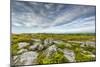 USA, West Virginia, Davis. Landscape in Dolly Sods Wilderness Area.-Jay O'brien-Mounted Photographic Print