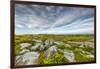 USA, West Virginia, Davis. Landscape in Dolly Sods Wilderness Area.-Jay O'brien-Framed Photographic Print