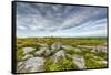 USA, West Virginia, Davis. Landscape in Dolly Sods Wilderness Area.-Jay O'brien-Framed Stretched Canvas