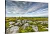 USA, West Virginia, Davis. Landscape in Dolly Sods Wilderness Area.-Jay O'brien-Stretched Canvas