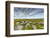 USA, West Virginia, Davis. Landscape in Dolly Sods Wilderness Area.-Jay O'brien-Framed Photographic Print