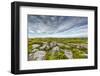 USA, West Virginia, Davis. Landscape in Dolly Sods Wilderness Area.-Jay O'brien-Framed Photographic Print