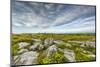 USA, West Virginia, Davis. Landscape in Dolly Sods Wilderness Area.-Jay O'brien-Mounted Photographic Print