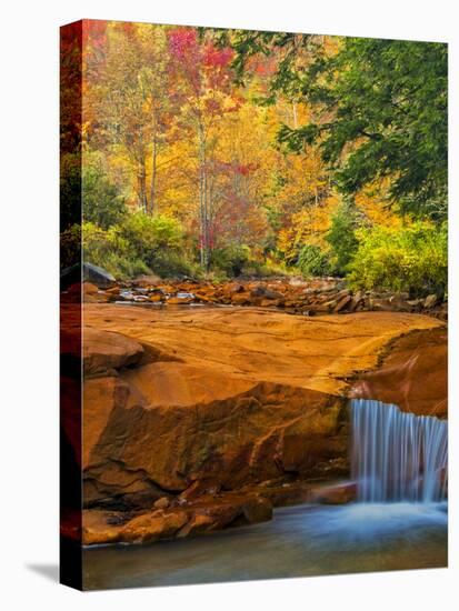 USA, West Virginia, Douglass Falls. Waterfall over Rock Outcrop-Jay O'brien-Stretched Canvas