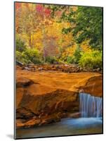 USA, West Virginia, Douglass Falls. Waterfall over Rock Outcrop-Jay O'brien-Mounted Photographic Print