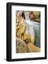 USA, West Virginia, Thomas. Close-up of Douglas Falls.-Jay O'brien-Framed Photographic Print