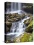 USA, West Virginia. Waterfall of the Falls of Hills Creek.-Christopher Reed-Stretched Canvas