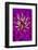 USA, Wilmington, Delaware. Detail of Zinnia Bloom-Jaynes Gallery-Framed Photographic Print