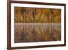 USA, Wisconsin. A cold morning on a Mill pond Lake in Autumn.-Brenda Tharp-Framed Premium Photographic Print