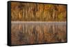 USA, Wisconsin. A cold morning on a Mill pond Lake in Autumn.-Brenda Tharp-Framed Stretched Canvas